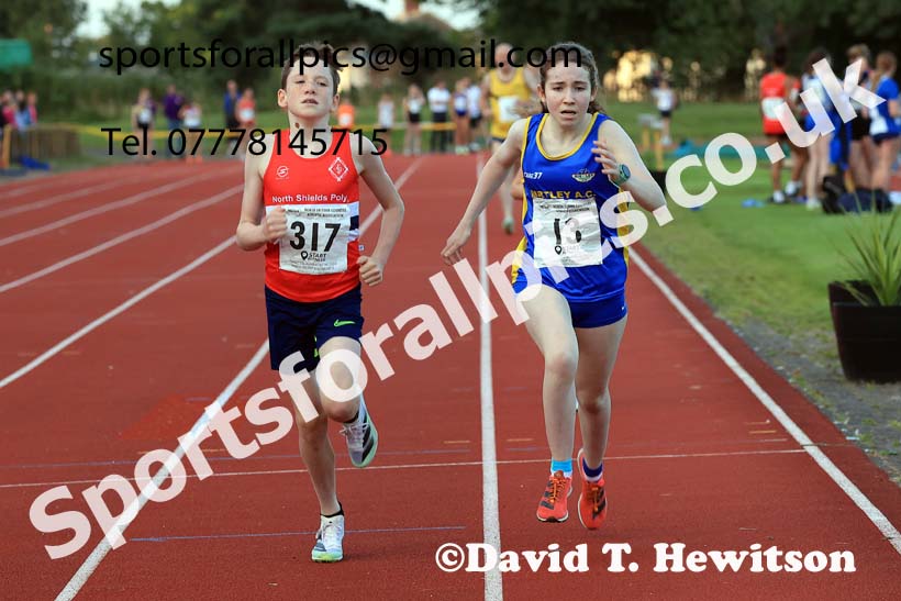800 metres, 2024 NEGP 6, Monkton Stadium,  Wednesday, August 14th.  Photo: David T. Hewitson/Sports for All Pics